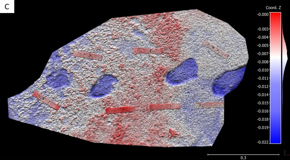   Charles Helm et al. / Ichnos, 2023