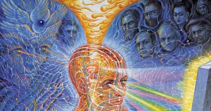 Фото взято из открытых источников