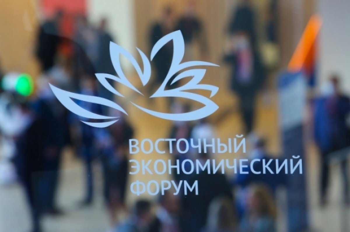    ВЭФ-23: Россия и Индия созданы для сотрудничества