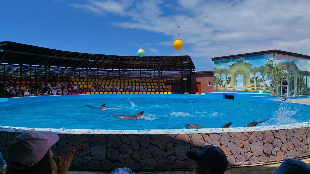 Дельфинарий # июнь 2023