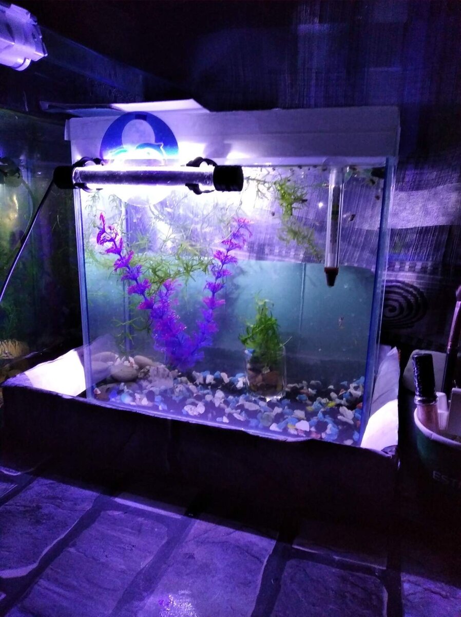 фото автора 