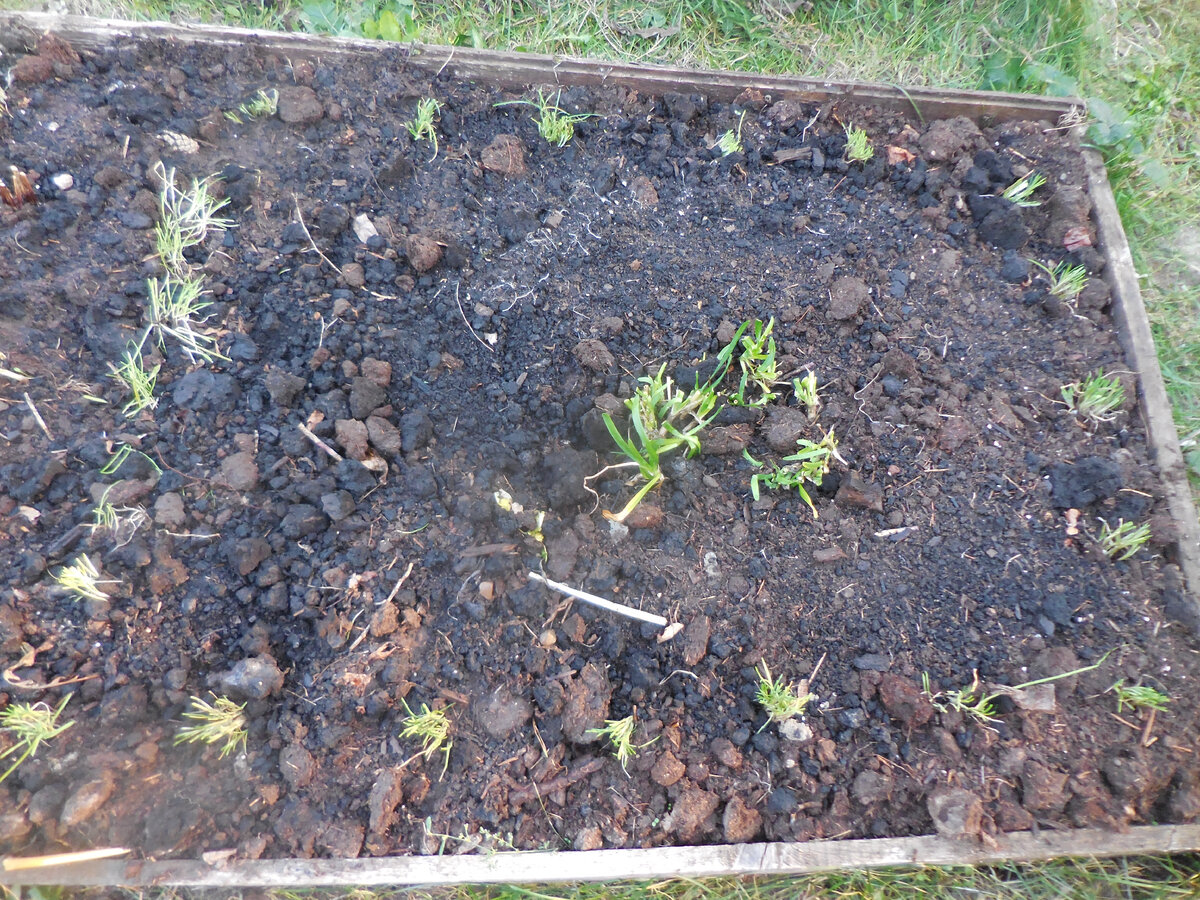 Правая половина