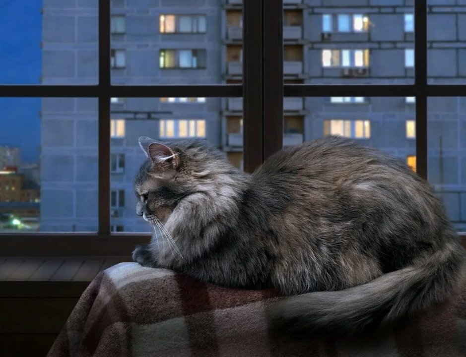 Источник: Яндекс картинки