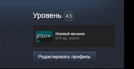 В стиме можно повышать уровень, тем самым соревнуясь со своими друзьями.