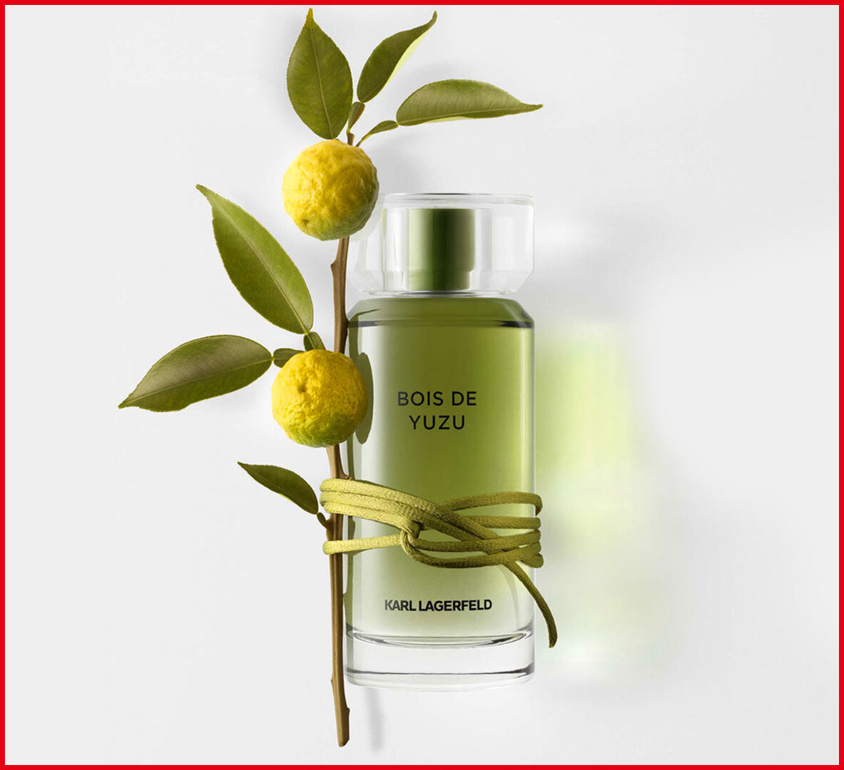 Bois yuzu. Karl Lagerfeld bois de Yuzu 100. Туалетная вода Karl Lagerfeld bois de Yuzu. Bois de Yuzu EDT 50ml.