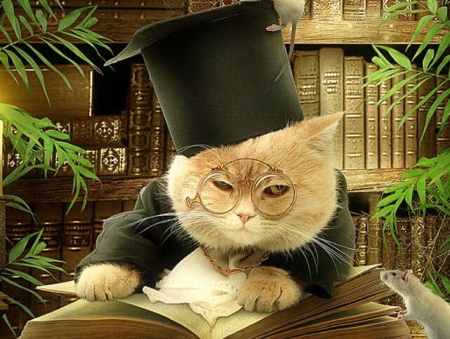 Яндекс.Картинки