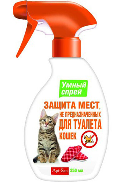 Запахи, которые не переносят кошки: как не разозлить своего питомца [Кошки cats]