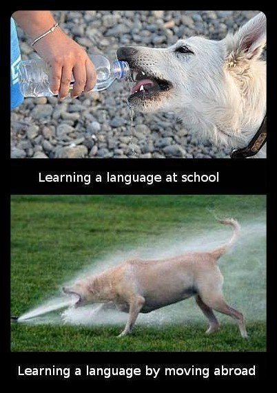 Изучение языка в школе - Изучение языка при переезде заграницу