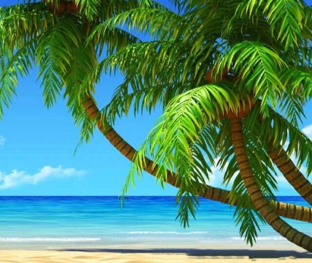 БЕСПЛАТНЫЙ МАРАФОН