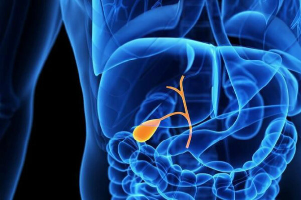 Источник: https://www.google.ru/imgres