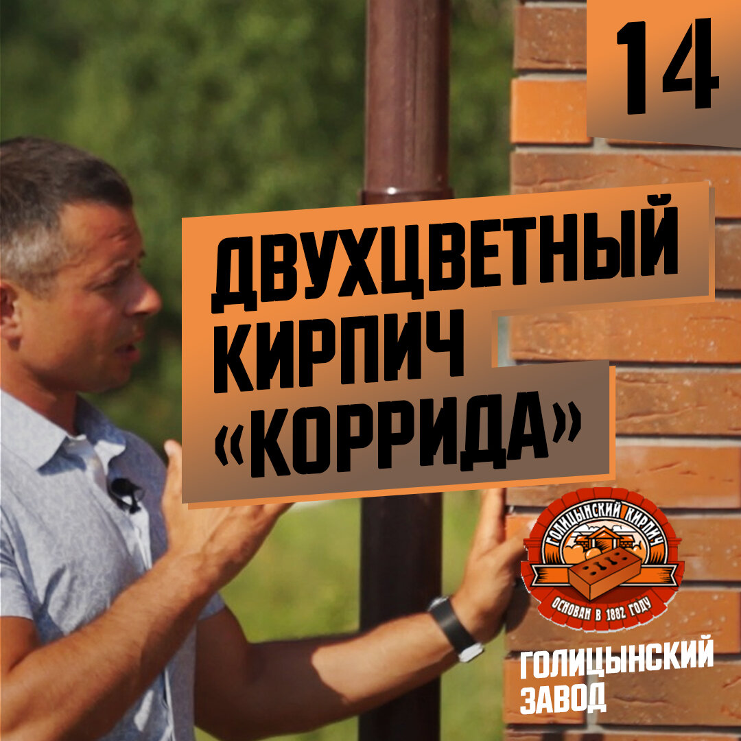 Бывают откровенно странные кирпичи