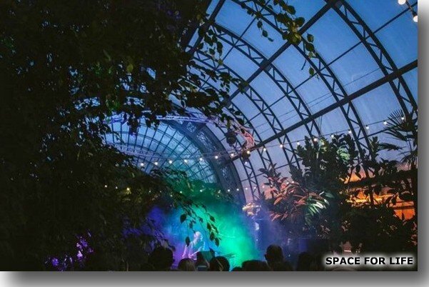 Фото с официального сайта оранжереи