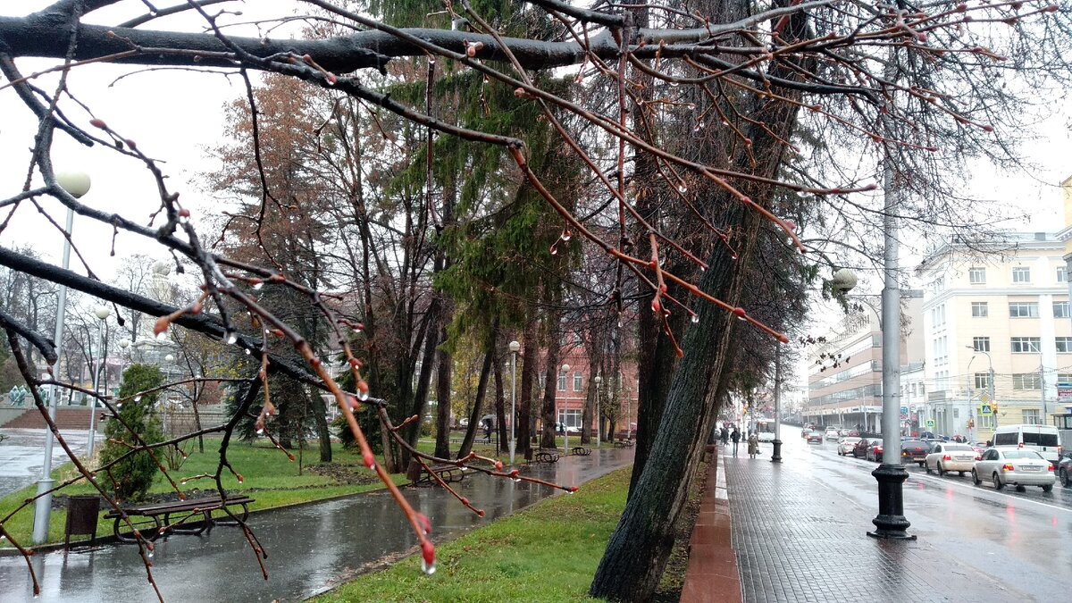 Павел Нестеров 
