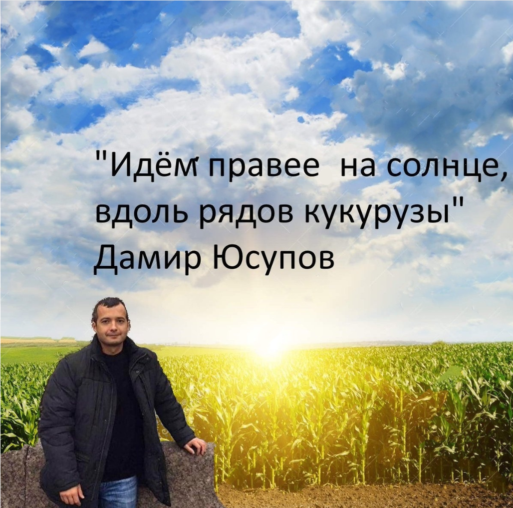 Идем правее. Вдоль кукурузы на солнце идём правее. На солнце вдоль рядов кукурузы. Идем правее на солнце. Идём правее на солнце вдоль рядов.