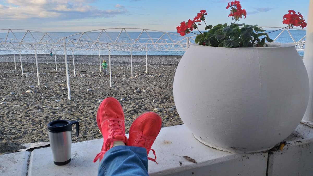 Что делать в Сочи в ноябре? Ловить дзен!