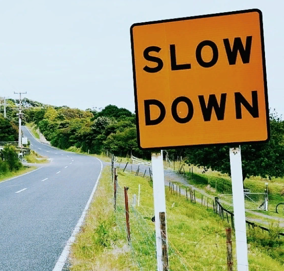 В похудении как на дороге, лучше медленно, но верно. 