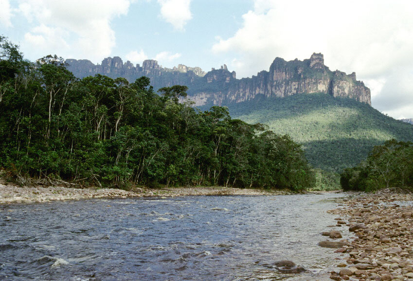 Естественная среда обитания полосатого лепоринуса. Приток Амазонки. Источник фото: http://www.vvv.ru/photos/img/1961.jpg