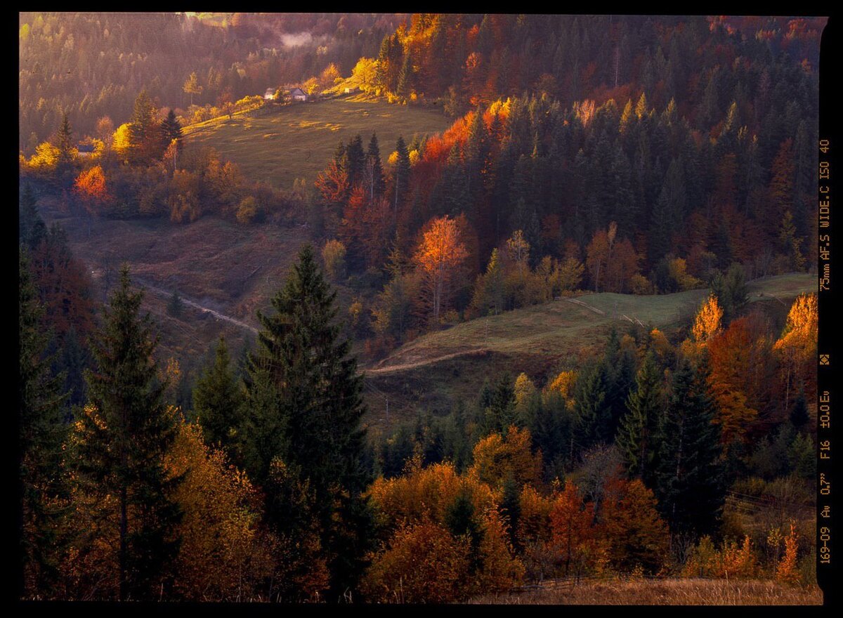 Просрочка Fuji Velvia 2004 года
(c) Arsenii Gerasymenko