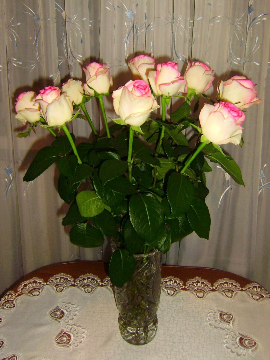 Что я добавляю в вазу, чтобы цветы стояли 2-3 недели как свежие