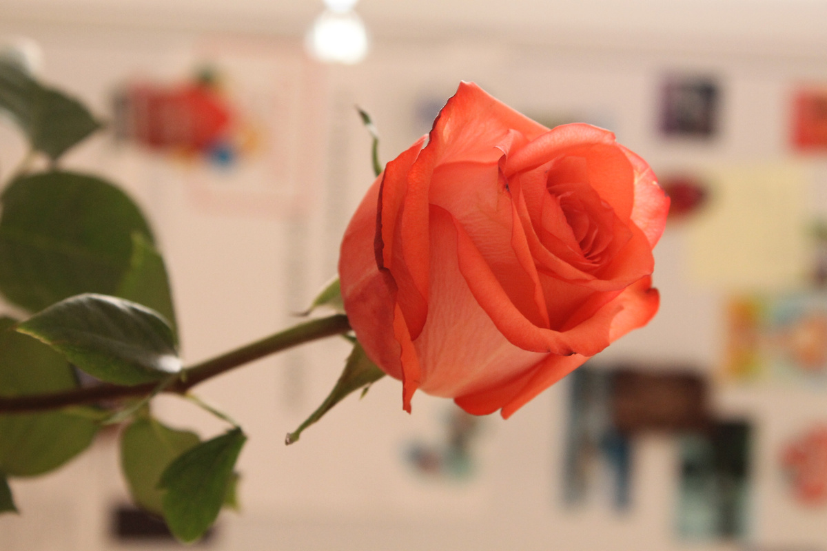 Опыты с глубиной резкости.