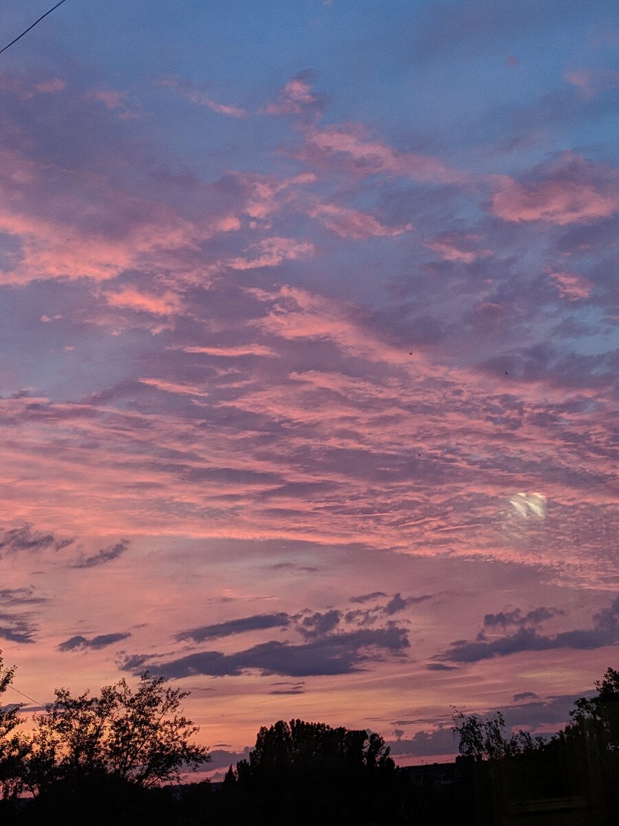 Розовое небо