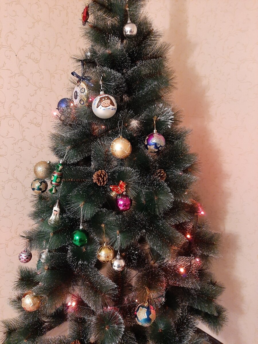 Моё маленькое желание сбылось. Дед Мороз подарил мне новый телефон. Теперь мои фотографии станут еще лучше😊