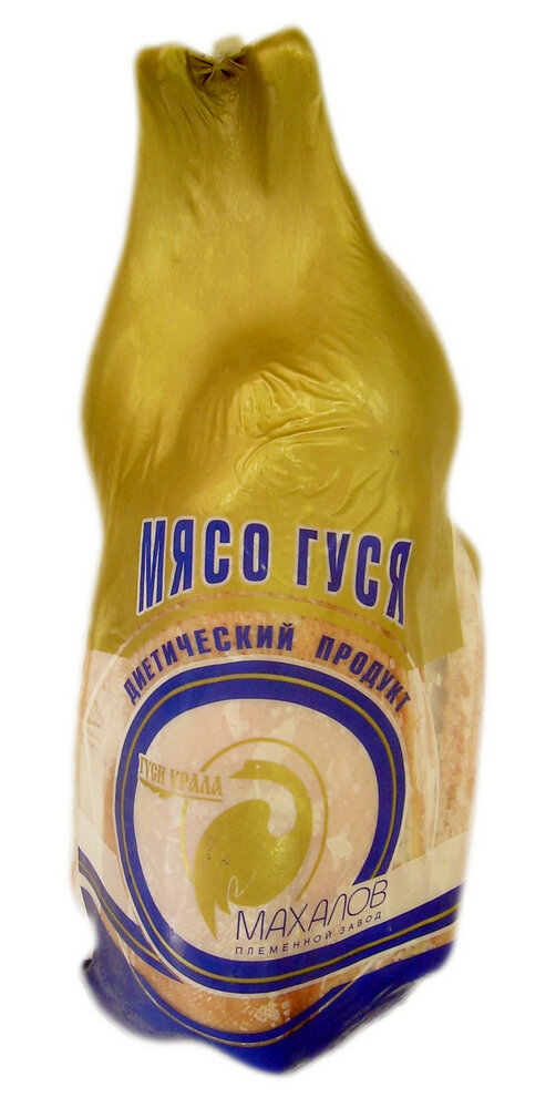Гусик мой гусик