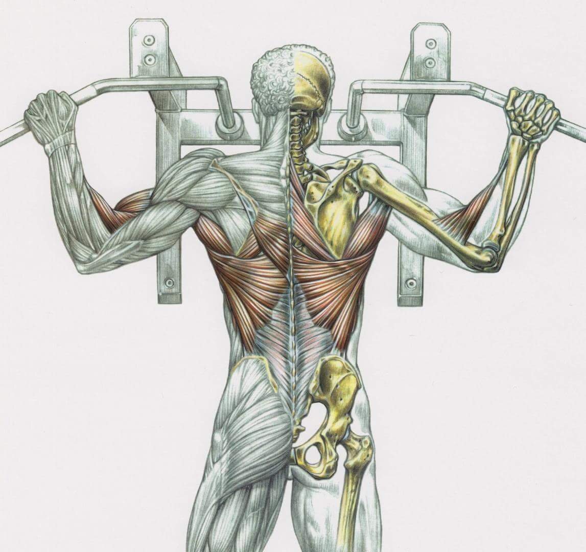 Изображение я Яндекс картинки