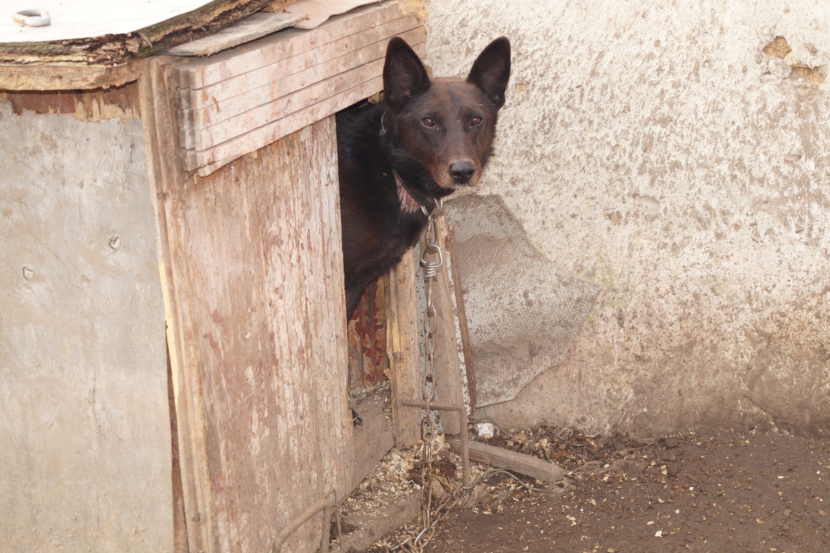 Его оставили умирать