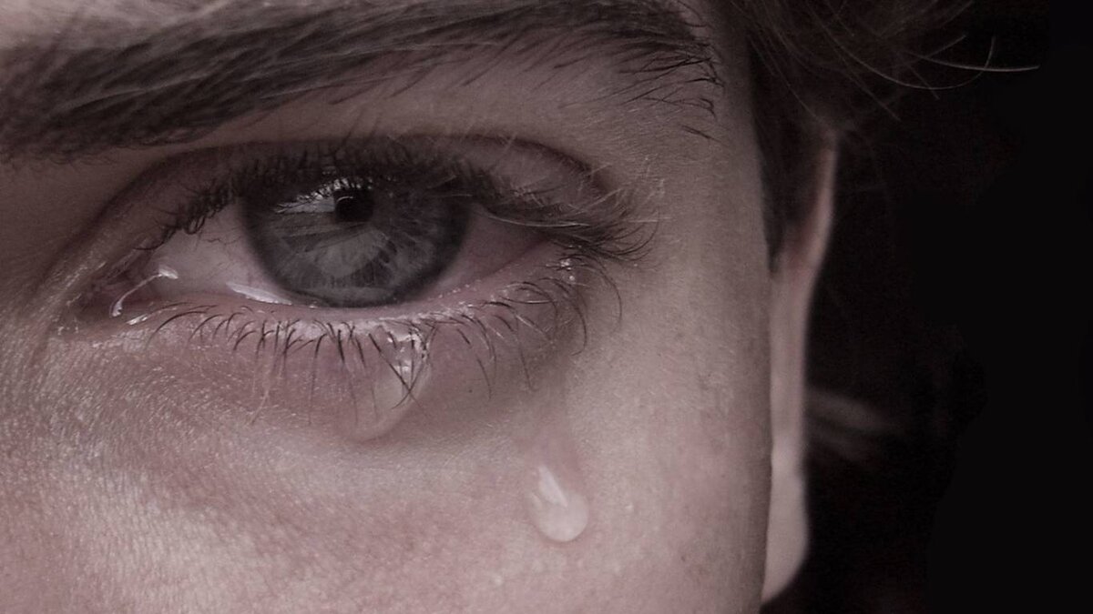 Источник фото: https://www.stihi.ru/pics/2016/11/08/11457.jpg