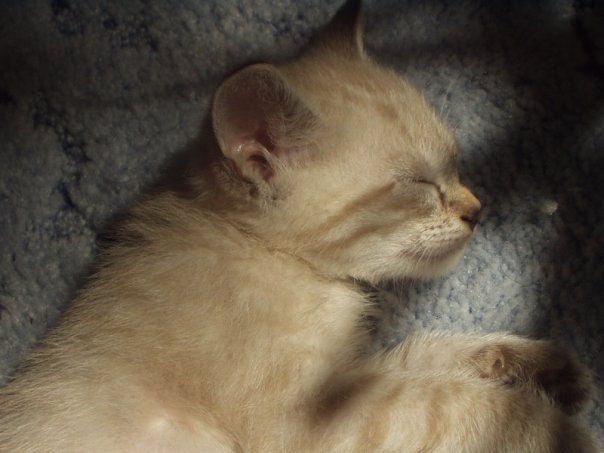 Фото из семейного архива