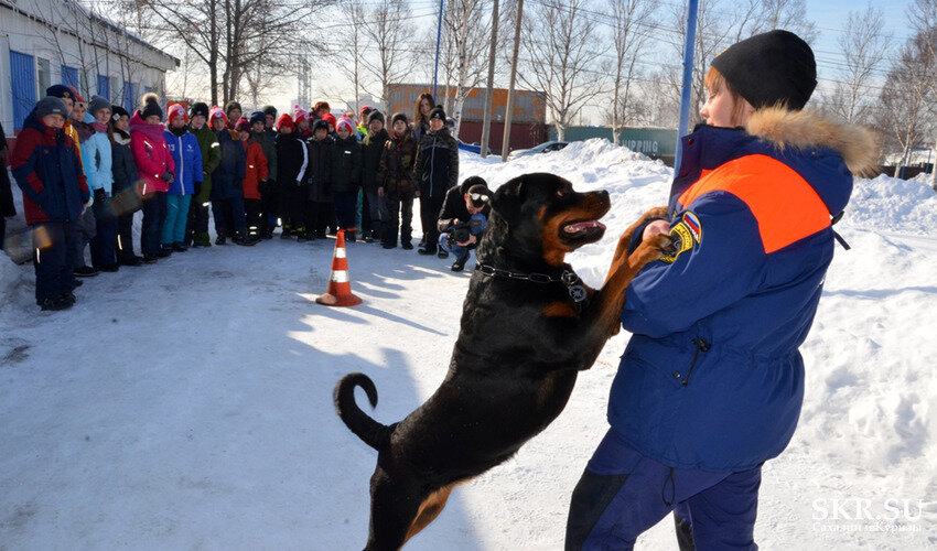 Фото: Полина Якимец