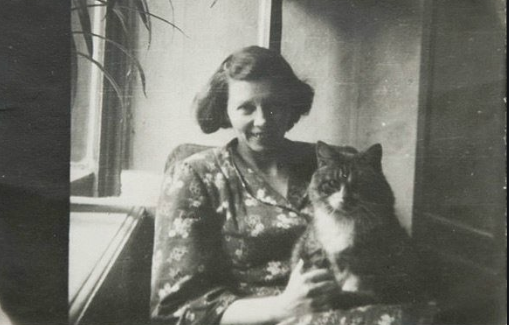 Фотография из открытого источника. 