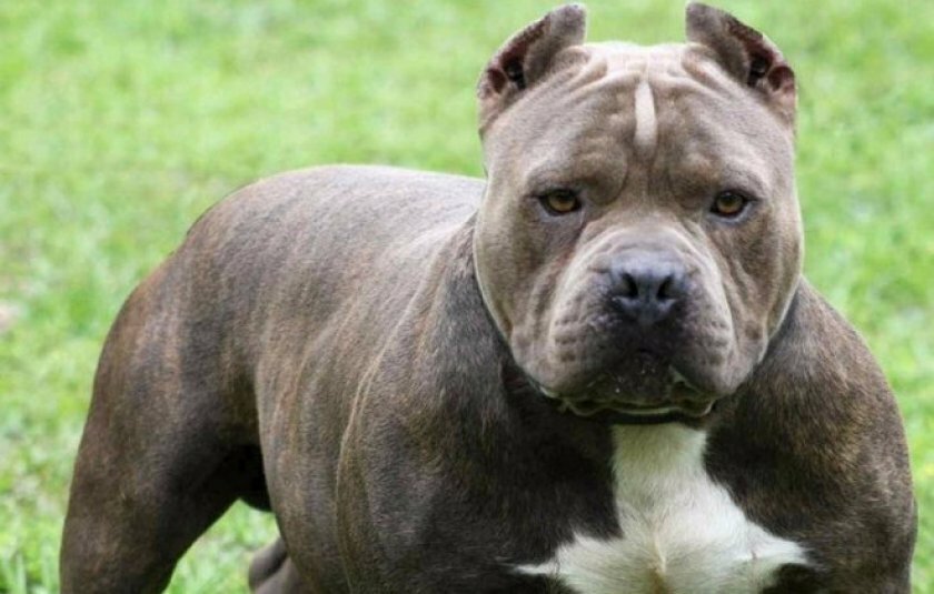 Фото из интернета