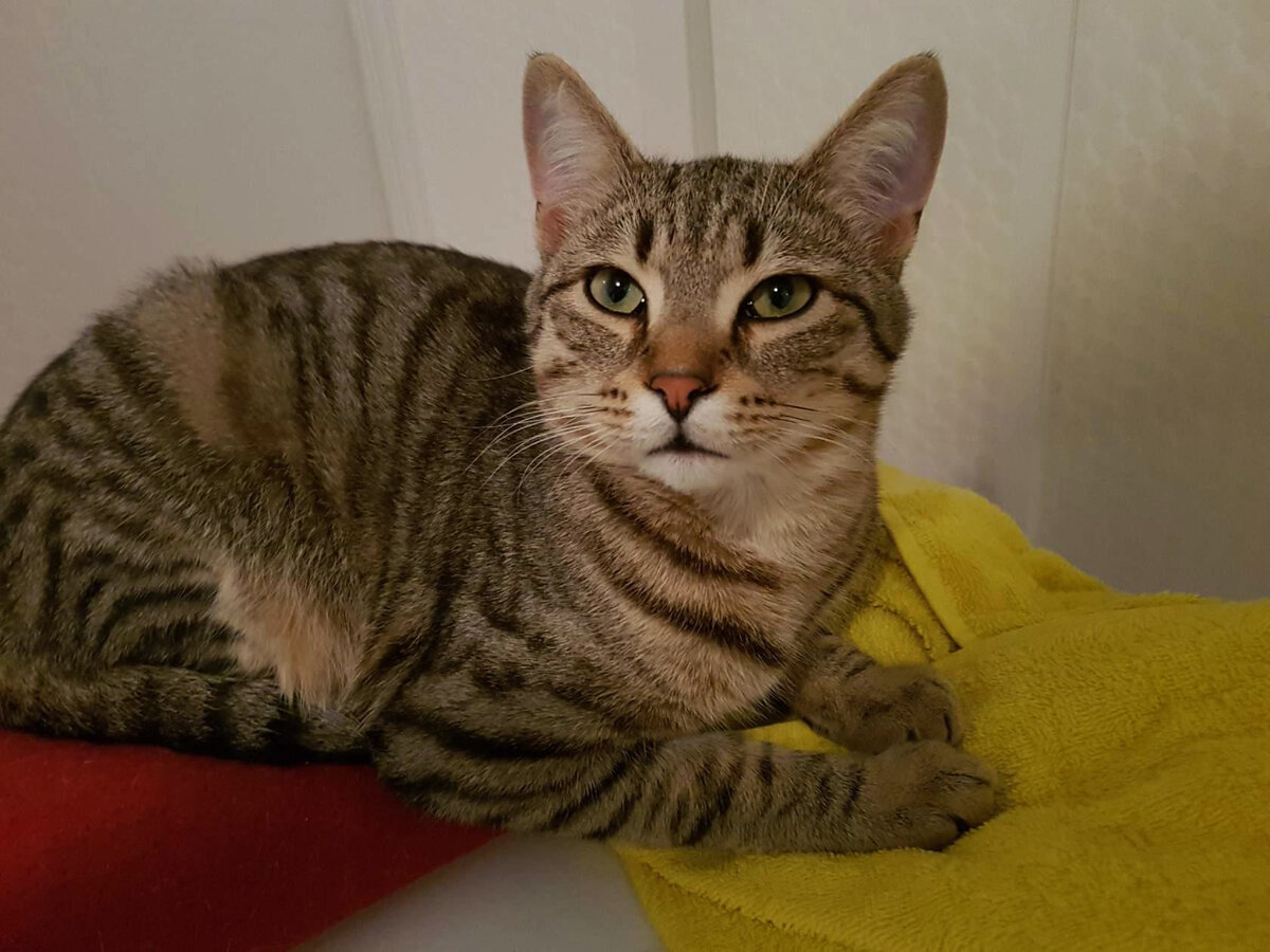 Фото из личного архива