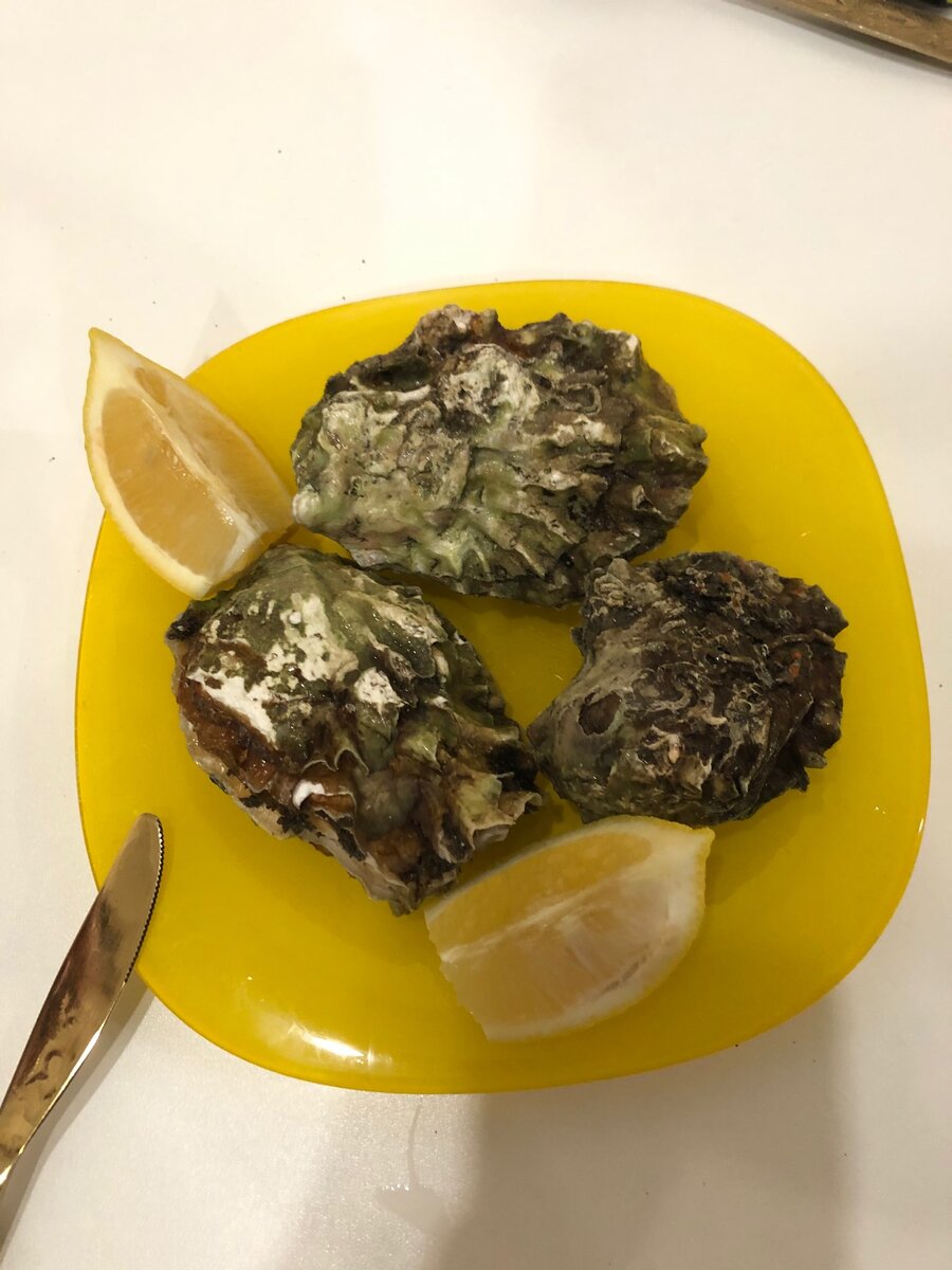 Устрицы. Личное фото