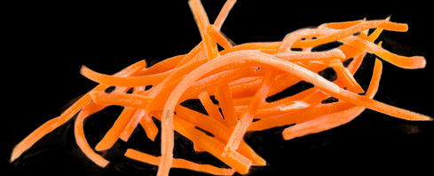 Морковь по-корейски любят наши люди