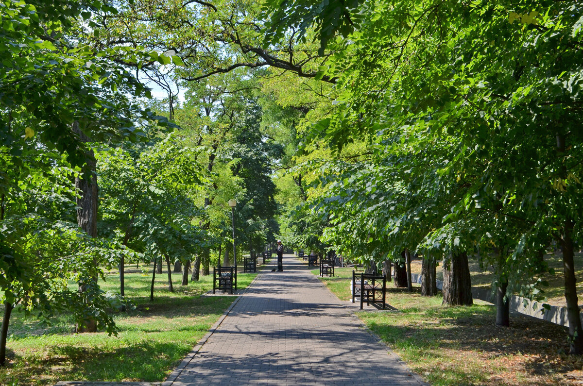 Фото приморского парка