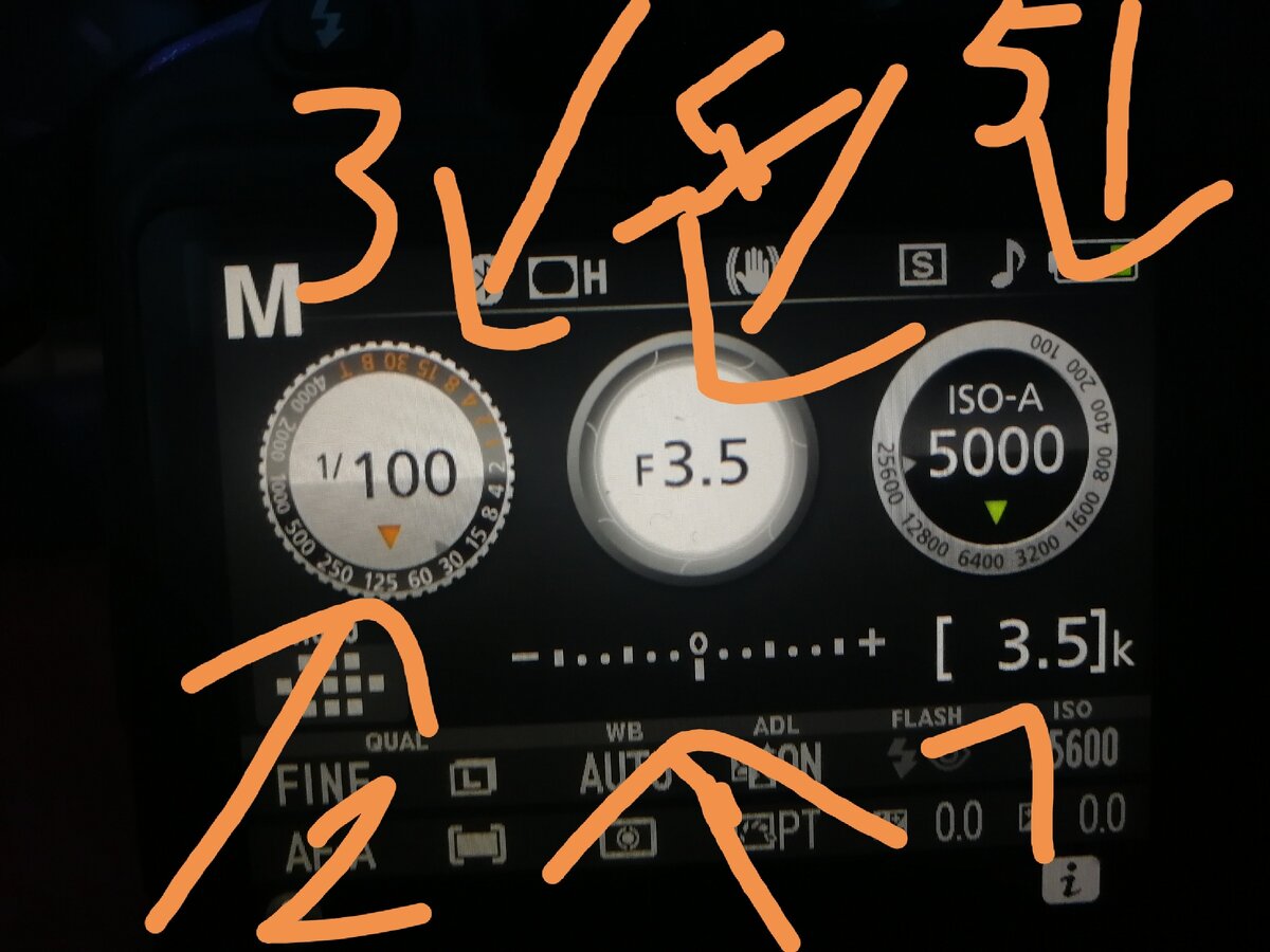 Фотография 1.