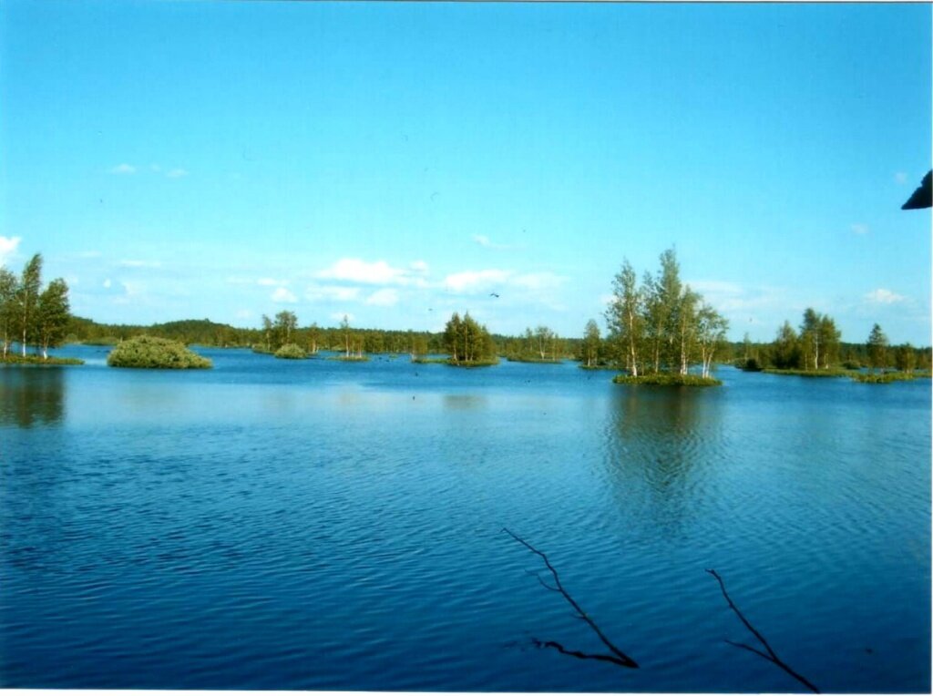Озеро 11 13. Святое озеро Муром. Озеро святое Шатура. Святое озеро (Шатурский район). Муромское озеро.