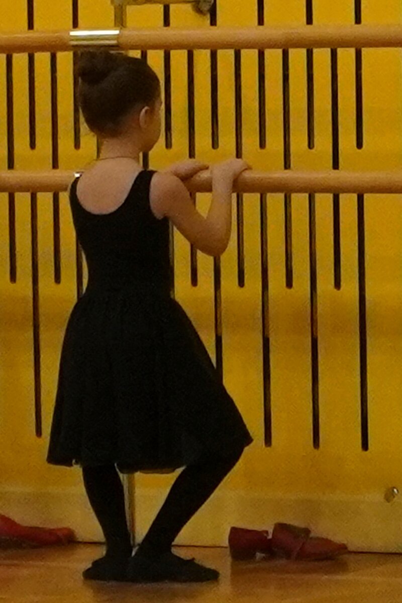 Деми плие (demi plie)