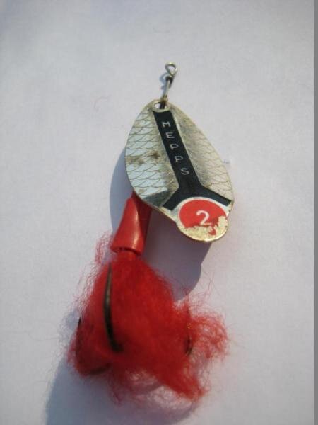 Фото: Андрей Калачев.