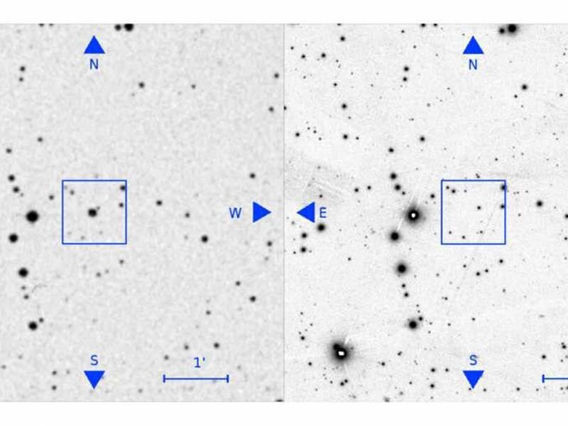 Иллюстрация из научной статьи