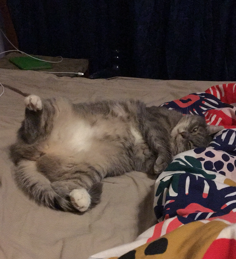 А этой все по барабану. Она в тепле и счастлива!