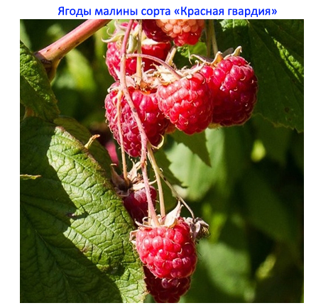 не плохо, думаю. на вкус также