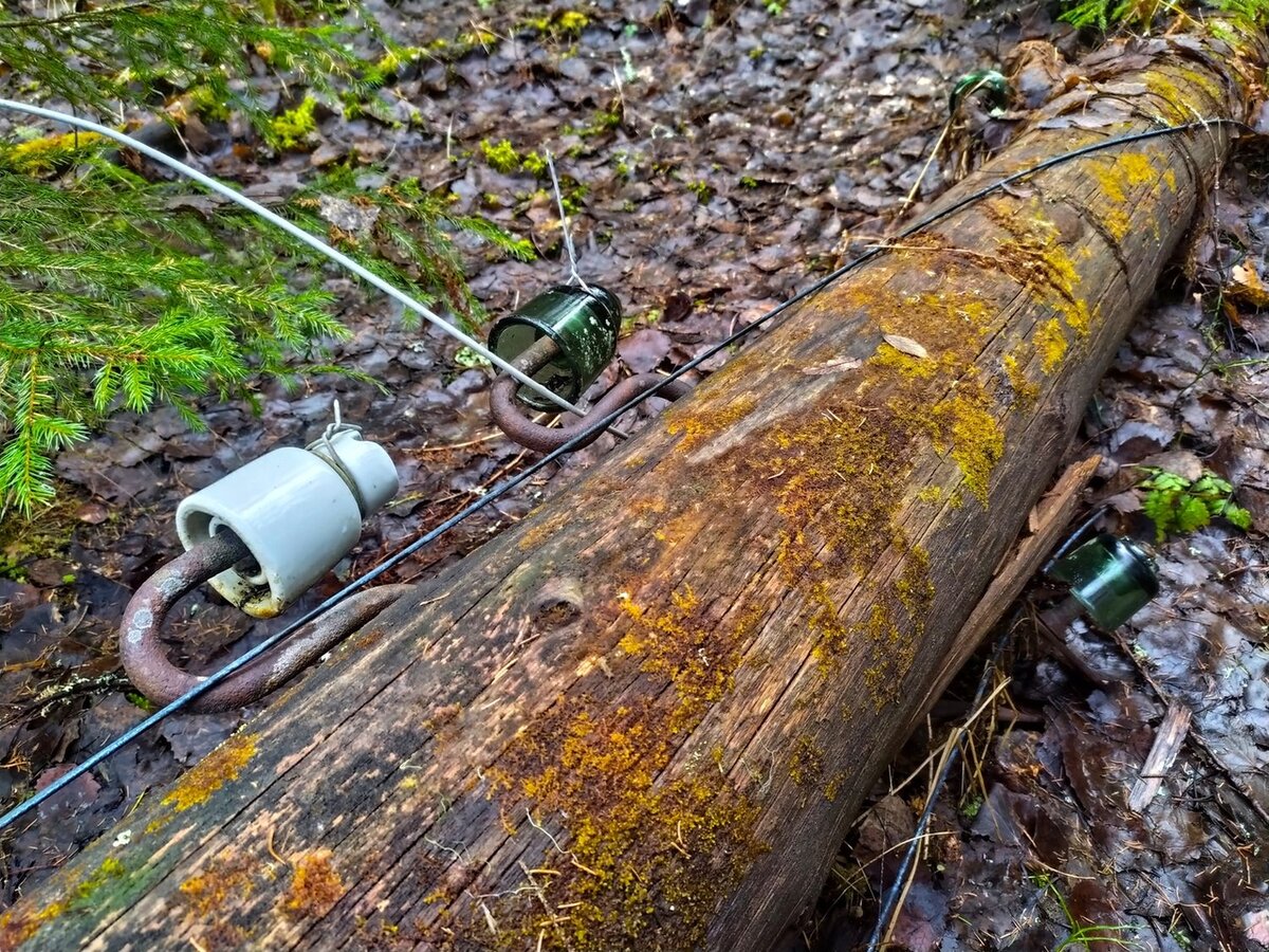 Наткнулись на старую телеграфную линию в лесу, ведущую к заброшенным и затопленным деревням