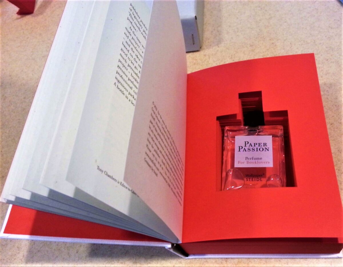 духи молекула paper passion. Paper passion карл лагерфельд духи. духи молекула paper passion женские. геза шон аромат paper passion. духи молекула paper passion.