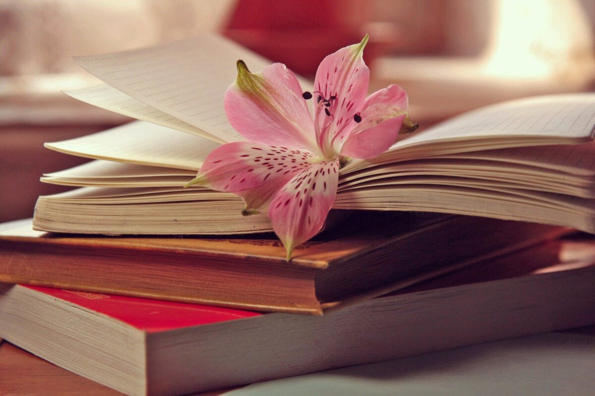  Источник  фото - Интернет - Яндекс поиск.