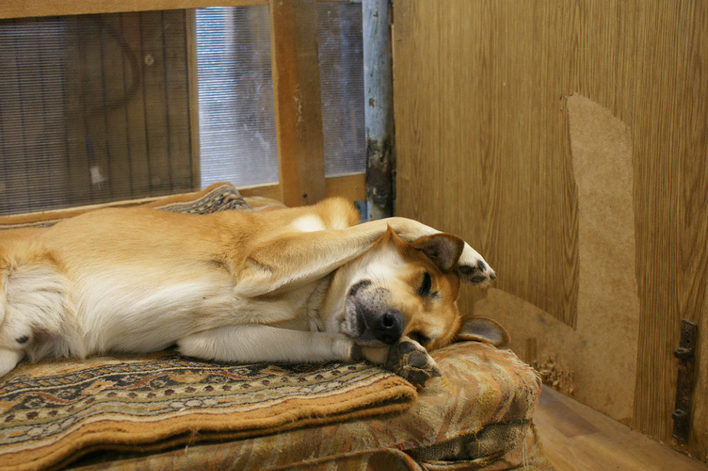 Ничего не слышу