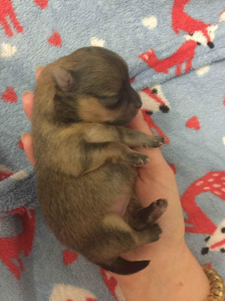 Пятый день жизни 